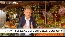 Growing for growth: Senegal bets big on agriculture