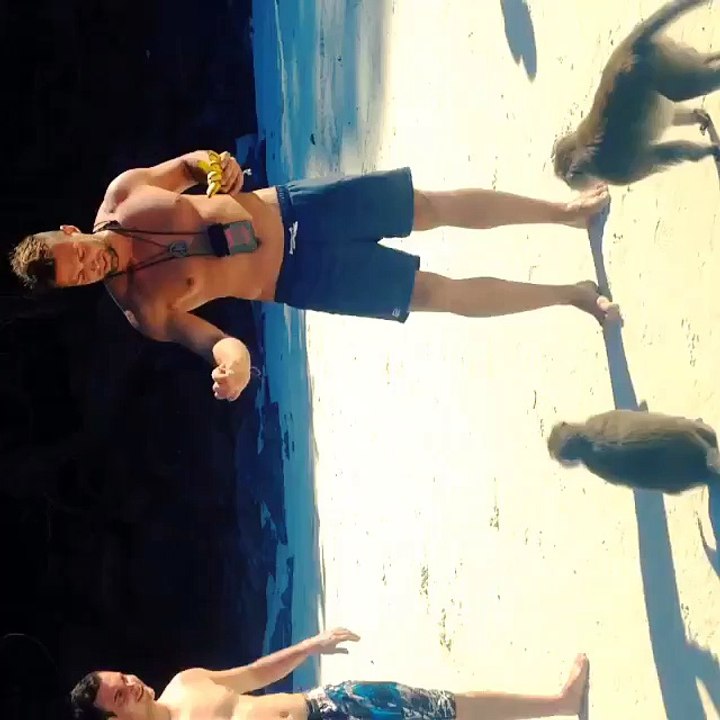 Visiting the Monkey Island