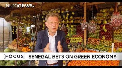 Investoren gesucht: Senegal setzt auf Landwirtschaft als Wachstumsmotor