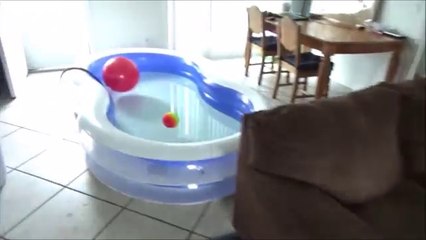 ---2 Swimming Pools In Our House! --Victoria -u0026 Annabelle Toy Freaks--