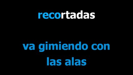 Lloran las rosas -  Christian Castro - Karaoke - Letra