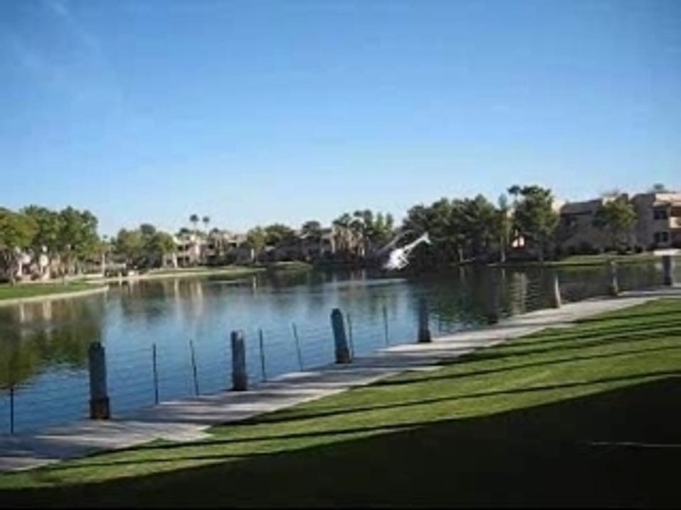 T-rex Adventure Hobbies Back Yard Demo