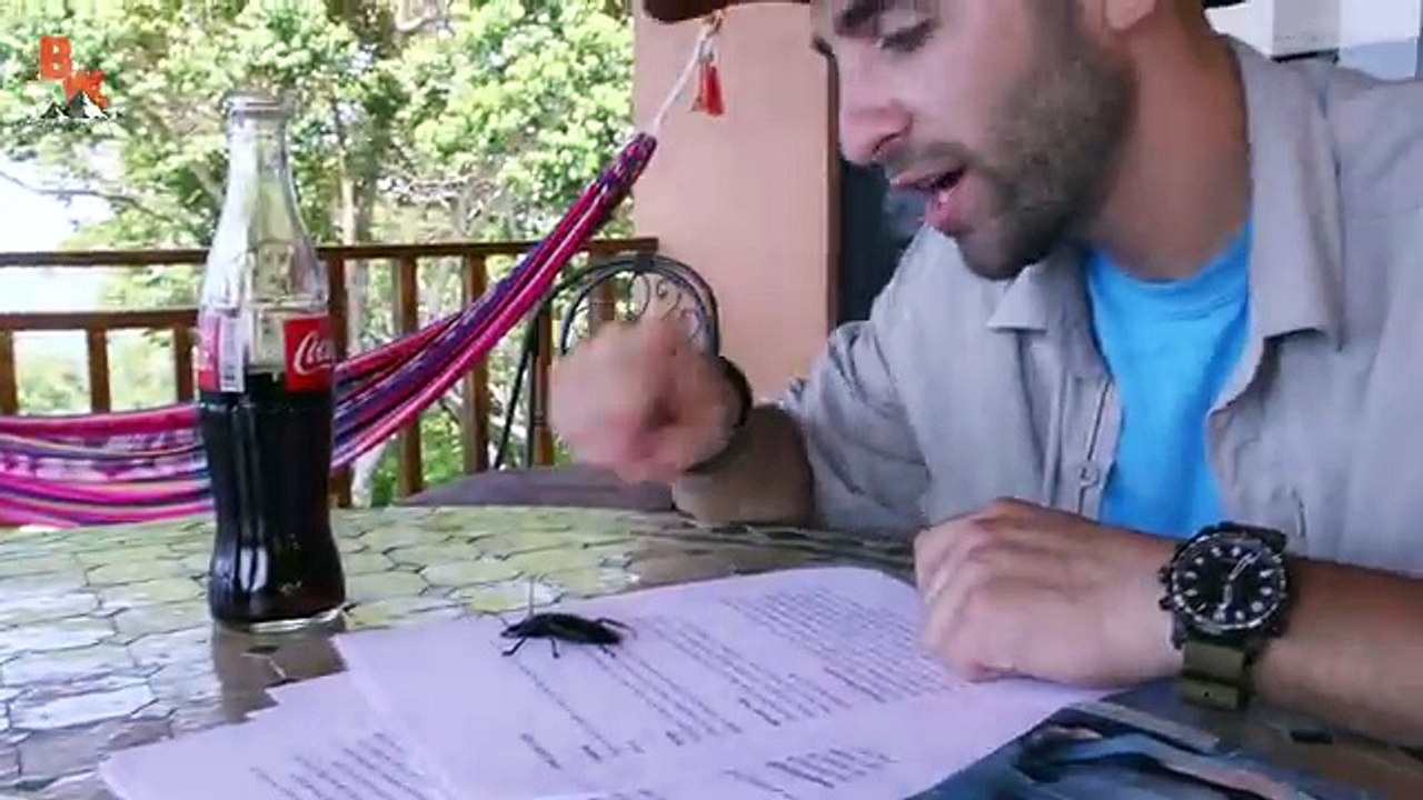 ---PINCHED! by a Giant Beetle! -