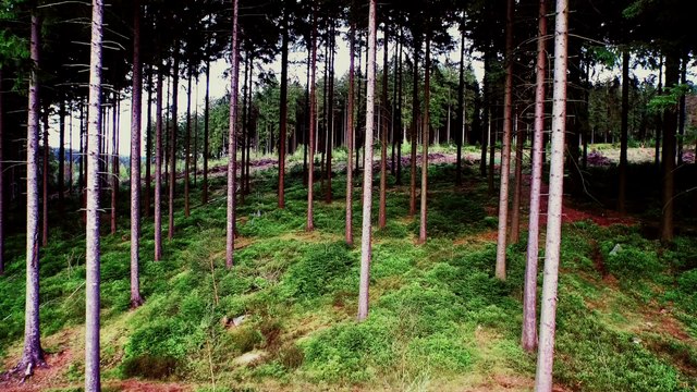 Porsche: A character building race (6 Hours of Spa Francorchamps)