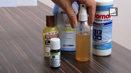 Headlice قمل الرأس