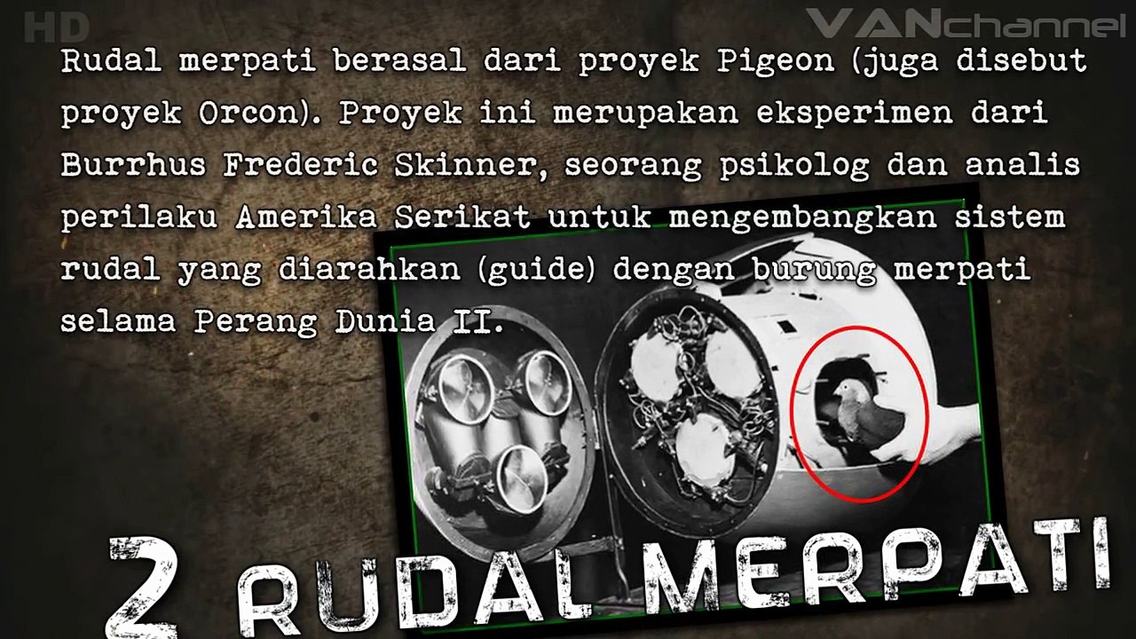 5 SENJATA ANEH DI DUNIA