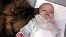 Baby and dog  Cute baby and dog bonding