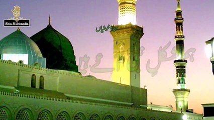 Daniyal - Humshakal-e-Nabi Aye Hain Dunia Main | New Manqabat (Qasida)
