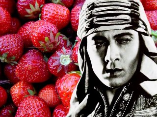 Alain Bashung Herr Major.wmv