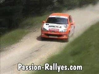 Скачать видео: Rallye Terre du Diois Volant 206