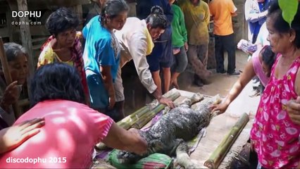 5 Vidéos créatures étranges et monstres légendaires