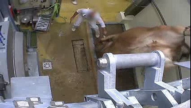 Res Turner EARTHLINGS 2 (Prod Grim Reaperz) 2016