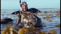 Sir David Attenborough - Meilensteine des Naturfilms auf DVD - Trailer [HD] Deutsch - German