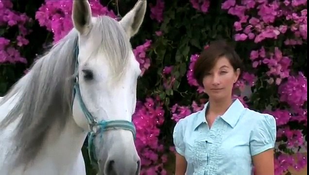 Una Ragazza Fa Le Trecce Ai Cavalli, Quando Ho Scoperto Il Motivo Sono Rimasto SCIOCCATO!!