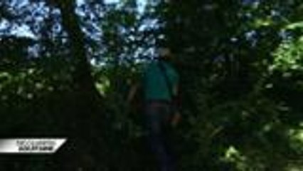 Découverte Aquitaine - La fauconnerie