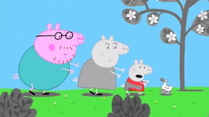 Peppa Pig Coloring Pages - Peppa Coloring Book
