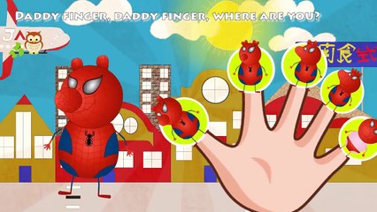 Spider man Peppa Pig Daddy Finger Finger Family Songs Finger Family Collection