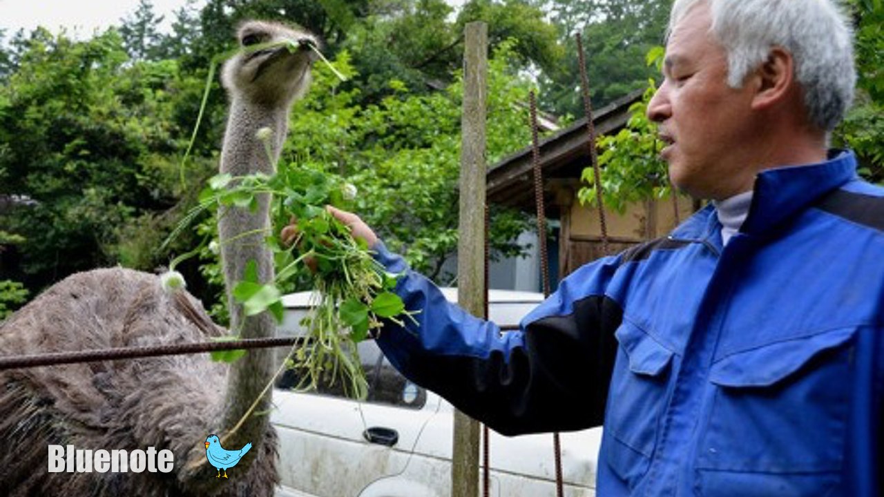 海外の反応「なんて偉大な人だ！」原発避難区域で動物を保護する男性に世界が感動