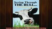 READ book  Seeing Through the Bull The Art of Problem Solving Full EBook