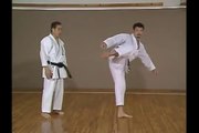 Karate Mawashi Geri