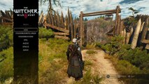 The Witcher 3: bug - Zu viel des Guten (Trophäe)