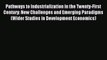 Read Pathways to Industrialization in the Twenty-First Century: New Challenges and Emerging