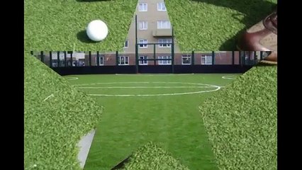 Multisports Turf, Grass