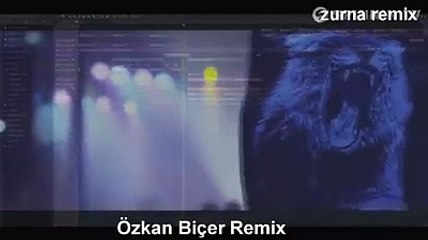 Martin Garrix - Animals ( Zurna Versiyon ) Remix