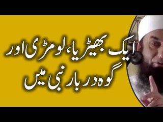 A Wolf and deer, a lizard and doe's obedience to Holy Prophet by Maulana Tariq Jameel