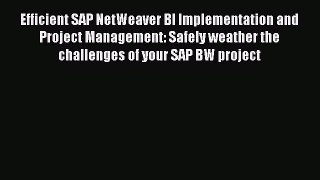 Read Efficient SAP NetWeaver BI Implementation and Project Management: Safely weather the challenges