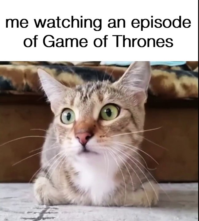Watching Game of Thrones!