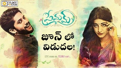 Premam Movie Release Date Fixed - Naga Chaitanya, Shruti Haasan - Filmyfocus.com