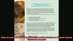 FREE EBOOK ONLINE  How to Start a Homebased Pet Grooming Business HomeBased Business Series Free Online