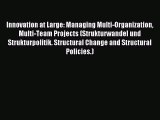 Read Innovation at Large: Managing Multi-Organization Multi-Team Projects (Strukturwandel und