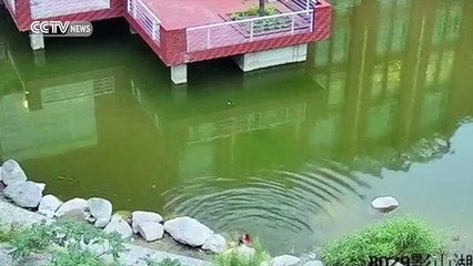 Footage- Children saved from pond after struggling for two minutes in water