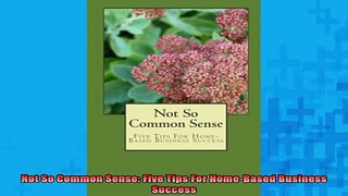 READ book  Not So Common Sense Five Tips For HomeBased Business Success Free Online