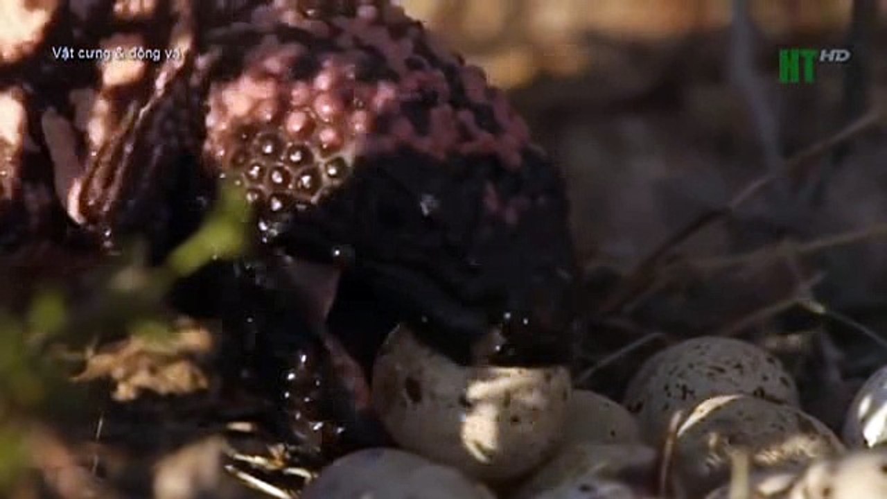 Creative Commons & Copyright Info CBDF (5)