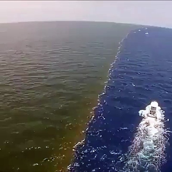 Allah ki Qudrat