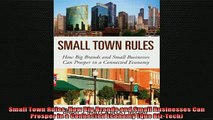 Downlaod Full PDF Free  Small Town Rules How Big Brands and Small Businesses Can Prosper in a Connected Economy Free Online