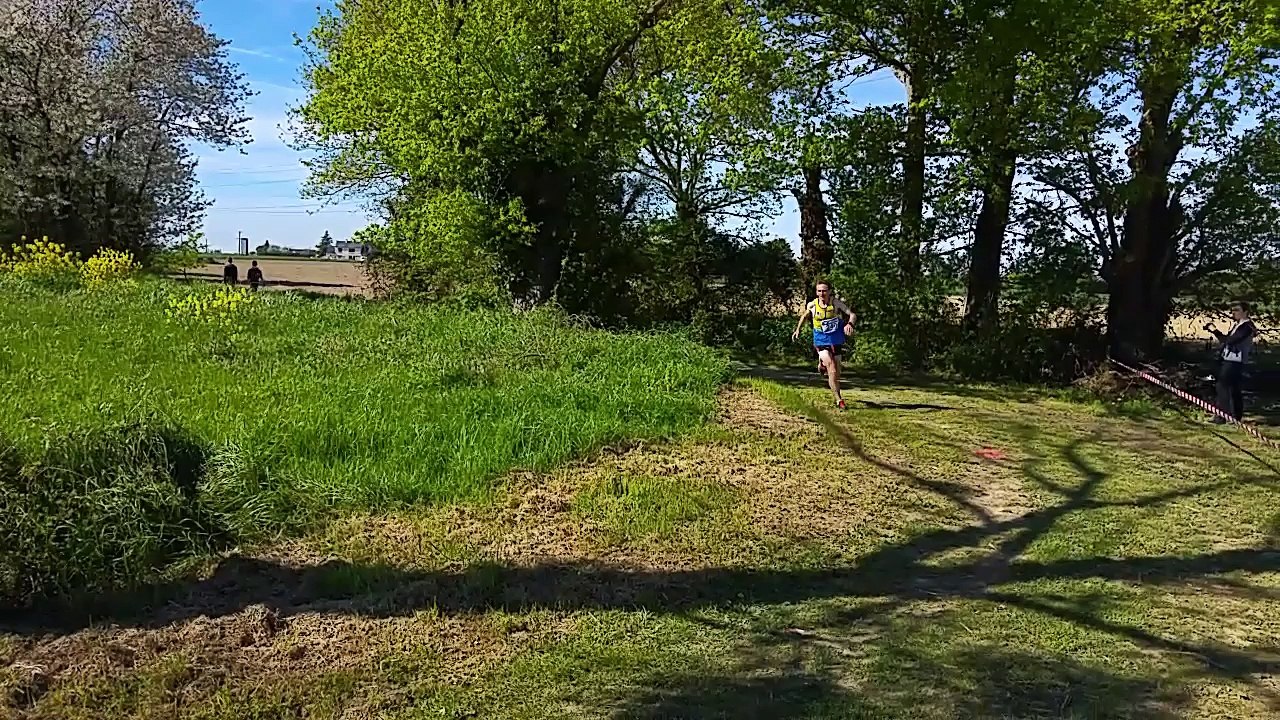 Foulées de Domloup 2016 : La vidéo