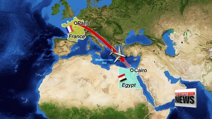 Egyptair flight from Paris to Cairo vanishes mid air with 66 on board