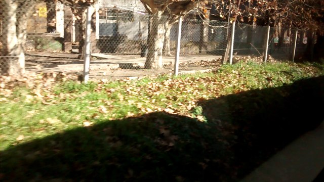 Linea Mitre - estacion Coglhan anden ascendente estado de obras.