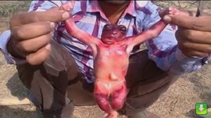 Unknown creature was found in India - Must watch