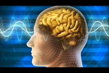 Bilimin Cevap Bulamadığı 10 Gizemli Soru