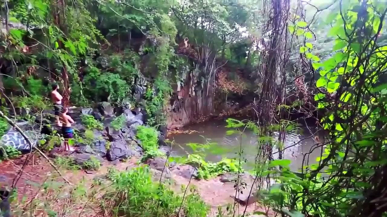 People Are Awesome 2015 HD