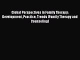 Read Global Perspectives in Family Therapy: Development Practice Trends (Family Therapy and