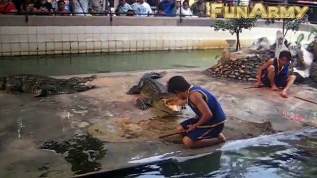 EŞEK ŞAKALARI \ EN KOTU ŞAKALAR \ DUNYANIN EN VAHŞİ EŞEK ŞAKALARI