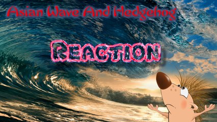 24K - MV Hey you (reaction)