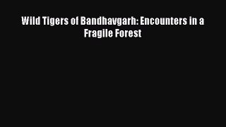 Download Books Wild Tigers of Bandhavgarh: Encounters in a Fragile Forest E-Book Free