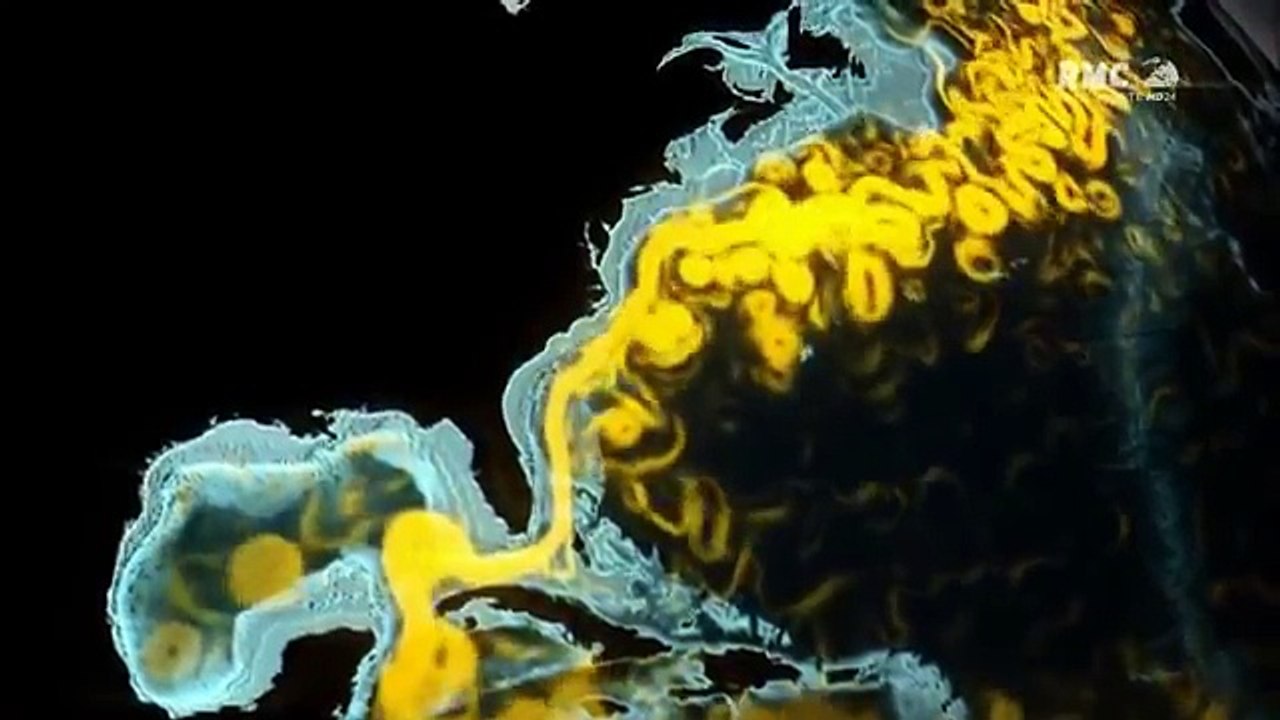 Documentaire, Tsunamis et vagues scélérates